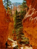 Bryce Canyon